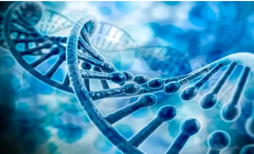 代妈做试管的平均费用是多少？?,代妈红房子除林仙华外，还有哪个医生做试管