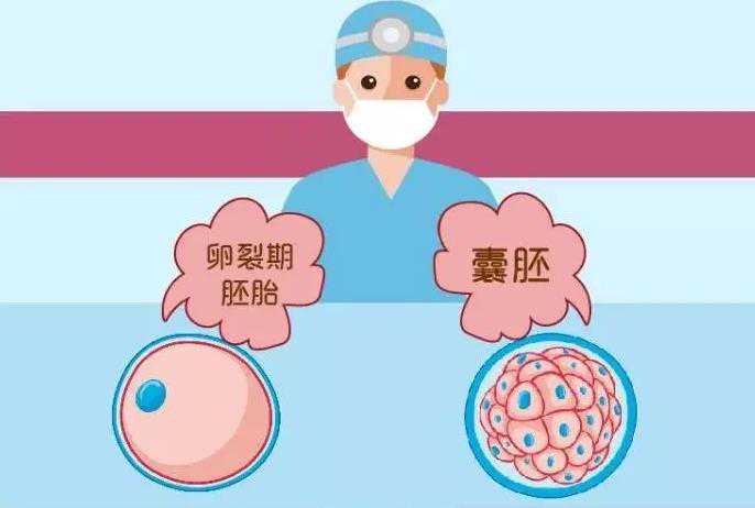 50万找私人四川代妈 四川省人民医院生殖中心全面解读试管婴儿常识 ‘彩超孕
