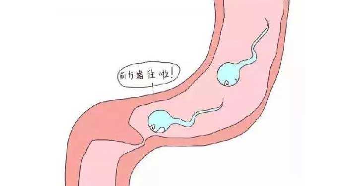 黔东南姐妹备孕两年多才查出输卵管堵塞？这个错误认知耽误了太多人好孕！