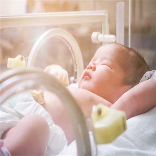 美国试管婴儿方案有哪些？