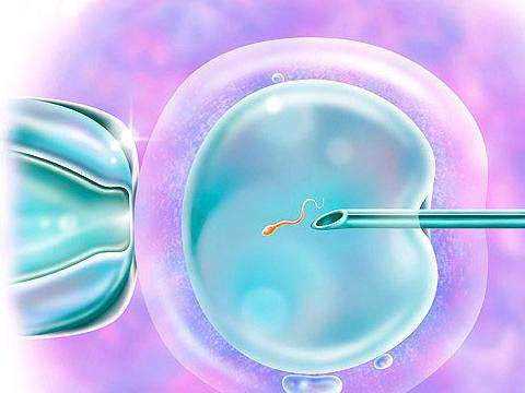自然代妈招聘_自然受孕代妈服务2020_六安助孕医院提醒子宫内膜增生能做试管婴